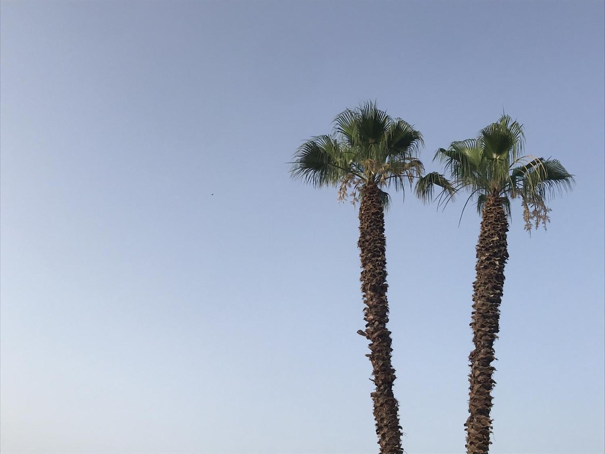 نوتو Casapiuholidaysicilia-Adults Only المظهر الخارجي الصورة