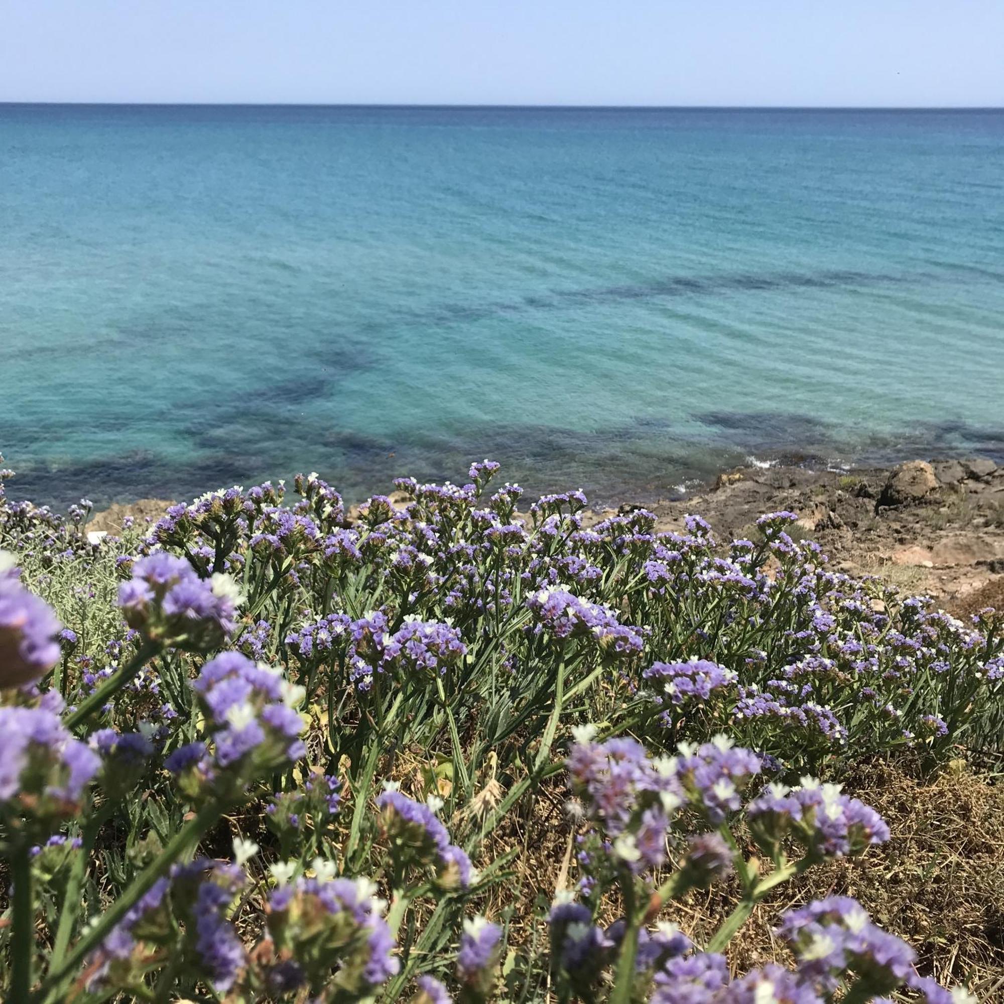 نوتو Casapiuholidaysicilia-Adults Only المظهر الخارجي الصورة