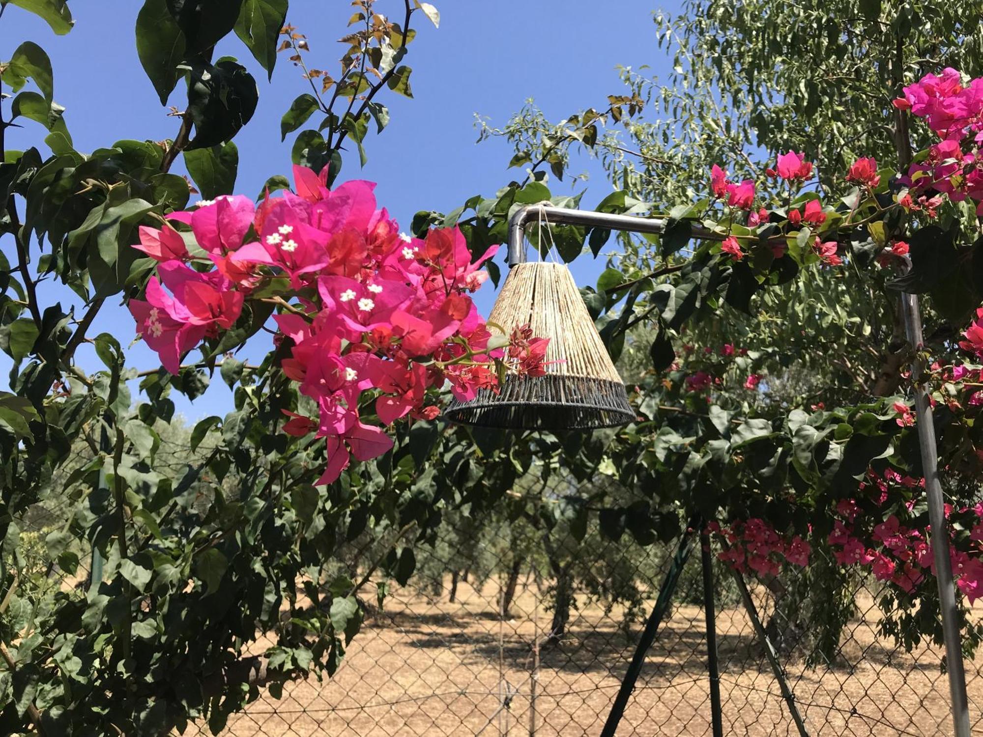 نوتو Casapiuholidaysicilia-Adults Only الغرفة الصورة