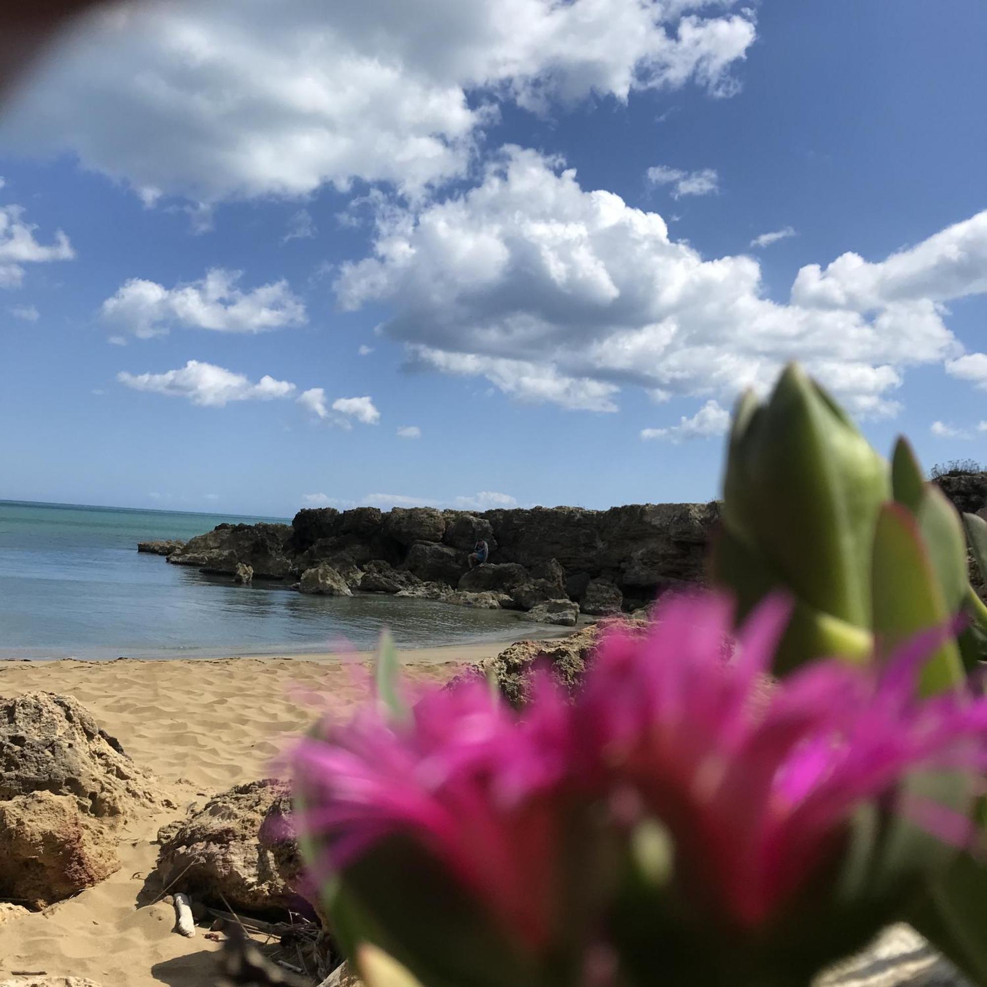 نوتو Casapiuholidaysicilia-Adults Only المظهر الخارجي الصورة